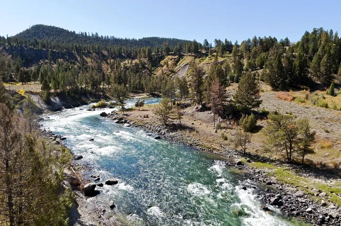Framed Print : Yellowstone River, Yellowstone National Park Framed Print : Yellowstone River, Yellowstone National Park