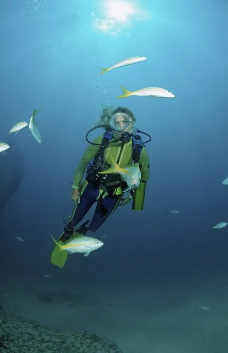 Framed Print : Yellowtail snapper and diver, Ocyurus chrysurus
