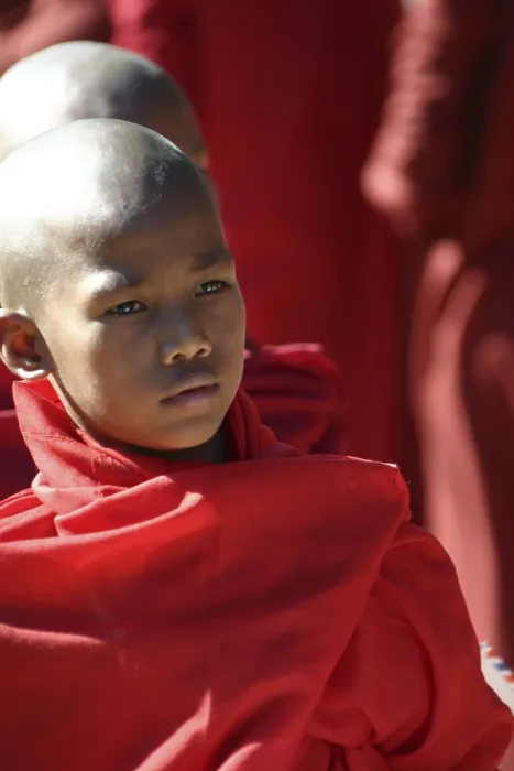 Framed Print : Young Buddhist monk, Burma (Myanmar) Framed Print : Young Buddhist monk, Burma (Myanmar)