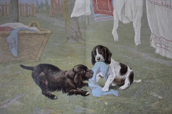 Framed Print : Young dogs at play, pulling laundry off the line