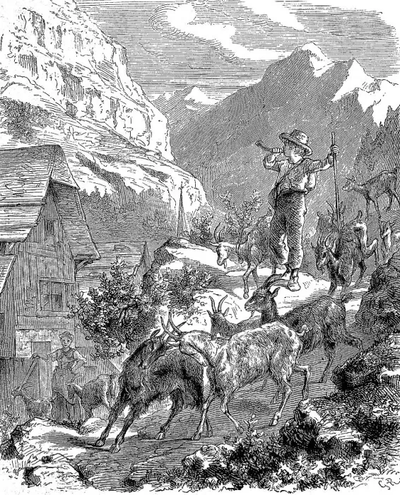 Framed Print : The young goatherd returns from the mountain pasture to the stable with his goats in the evening