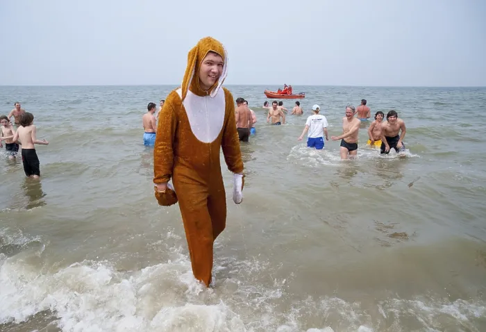 Framed Print : Young man dressed as the Easter Bunny during the traditional Paasduik Easter diving event on the beach in the North Sea