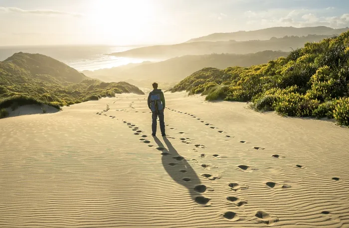 Framed Print : Young man in the dunes, Yellow lupins (Lupinus luteus) on sand dunes Framed Print : Young man in the dunes, Yellow lupins (Lupinus luteus) on sand dunes