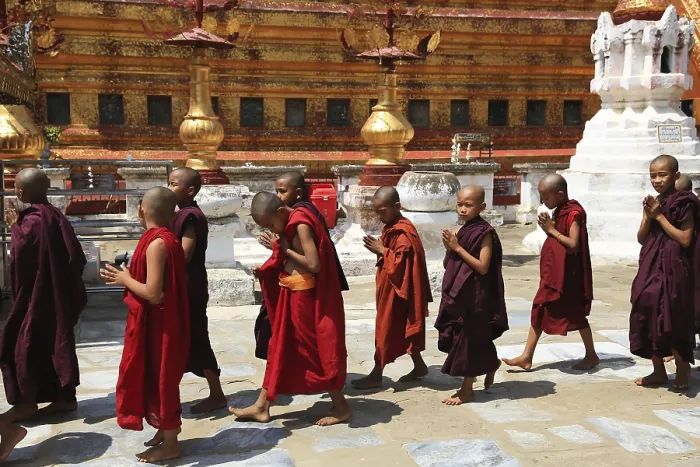 Framed Print : Young novices in red robes in procession in front of a golden pagoda Framed Print : Young novices in red robes in procession in front of a golden pagoda