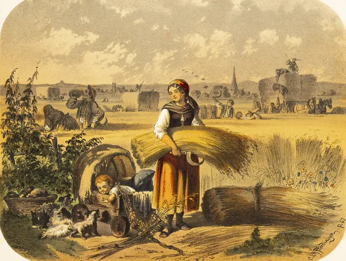 Framed Print : Young woman with baby in a stroller on a cornfield Framed Print : Young woman with baby in a stroller on a cornfield