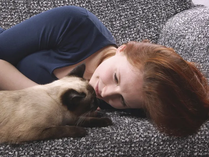 Framed Print : young woman relaxing with siamese cat at home on sofa