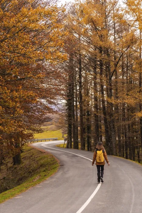 Framed Print : A young woman walking along a road surrounded by trees in autumn