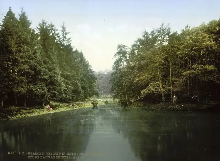 Framed Print : In the Zeister Forest, Utrecht