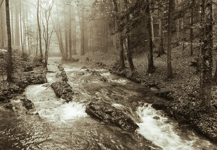 Framed Print : Zellerache flows through autumn forest in morning mist