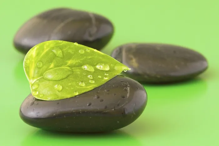 Framed Print : Zen stones with leaf on green background Framed Print : Zen stones with leaf on green background