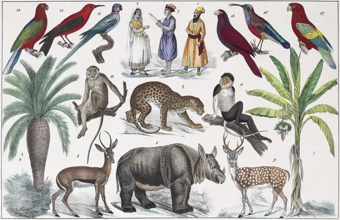 Framed Print : Zone painting South Asia, Near India Framed Print : Zone painting South Asia, Near India