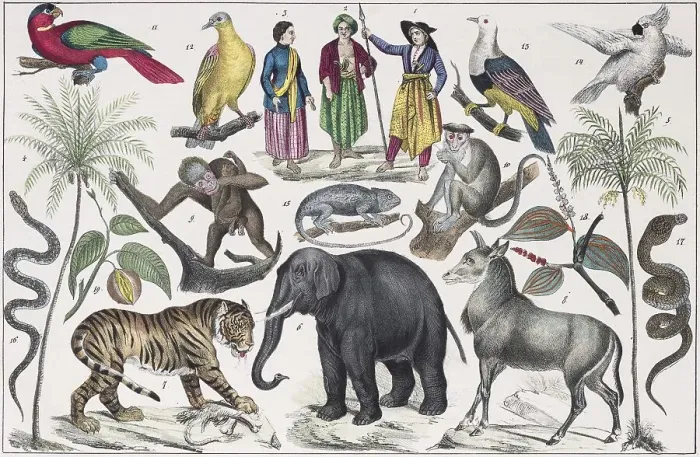 Framed Print : Zone-paintings South Asia, East Indian Islands