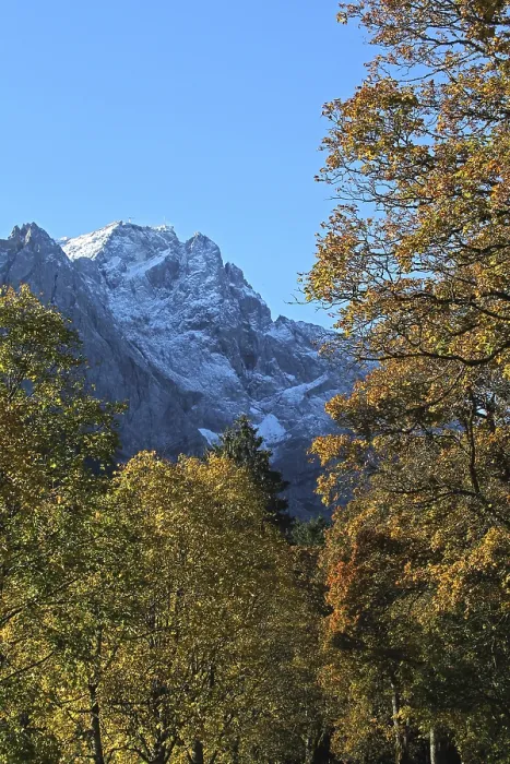 Framed Print : Zugspitze and autumnal trees, Upper Bavaria Framed Print : Zugspitze and autumnal trees, Upper Bavaria