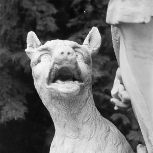 All Images Collection: 1983
