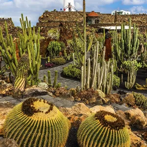 2016, Guatiza, Lanzarote, Jardin de Cactus von Cesar Manrique.