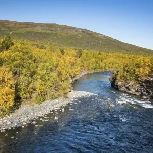 Abiskojokk river in autumnal landscape Abiskojokk river in autumnal landscape