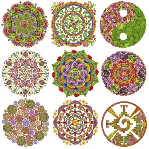 Abstract circle mandalas made from flowers and leaves Abstract circle mandalas made from flowers and leaves