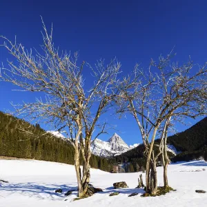 Admonter Kaibling in the Gesause National Park