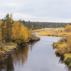 Aekaesjoki River east of Muonio