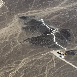 Aerial, The Cat, Nazca geoglyph Aerial, The Cat, Nazca geoglyph