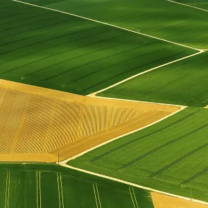 Aerial view, canola fields, Aldenhoven Aerial view, canola fields, Aldenhoven