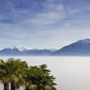 Aerial View over Cloudscape and Snow-capped Mountain with Palm Trees in a Sunny Day in Ticino