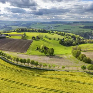 Aerial view, drone photo: Blooming rapeseed field Aerial view, drone photo: Blooming rapeseed field