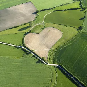 Aerial View of Heart-Shaped Field Print, Trittau, Germany