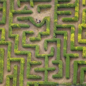 Aerial view, hedge maze, labyrinth