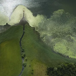 Aerial view, lake shore, Bannwaldsee