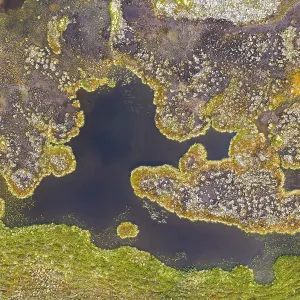 Aerial view, lake in wetland, bog Aerial view, lake in wetland, bog
