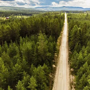 Aerial view of a long road through thick