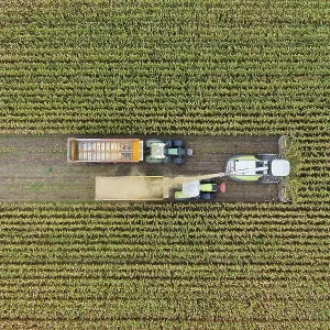 Aerial view, maize chopper and tractor with trailer at the maize harvest