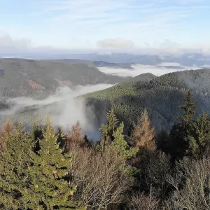 Aerial view of the Palatinate Forest in autumn