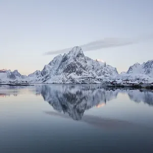 Aerial view, Reinefjord with snowy mountains Aerial view, Reinefjord with snowy mountains