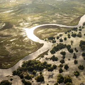 Aerial view, Swamp area, Okavango Delta, Botswana