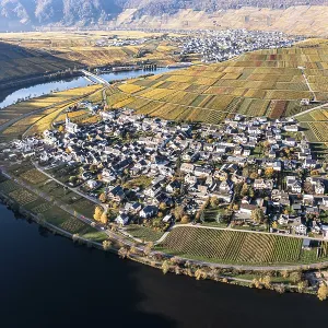 Aerial view, vineyards in autumn