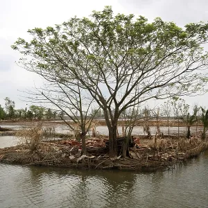 Aila cyclone in Sunderban, West bengal, India 2009