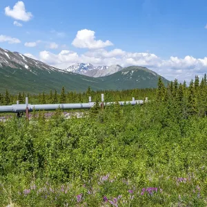 Alaska Pipeline Oil Pipeline, Alaska Range