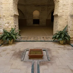 Alcázar de Jerez de la Frontera Print, Andalusia, Spain