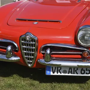 Alfa Romeo Giulia Spider 1965, Giulia Spider