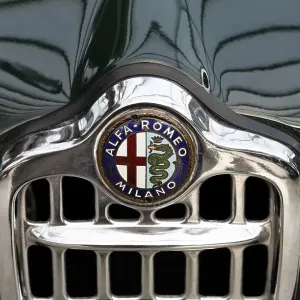 Alfa Romeo grille with logo, Giulietta Coupe from 1955