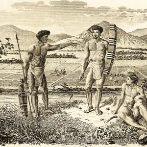 Alfuren, inhabitants of the Molucca Islands