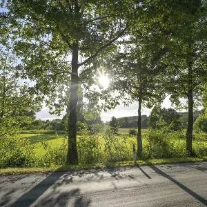 Allee im Nordlippischen Bergland bei Vlotho