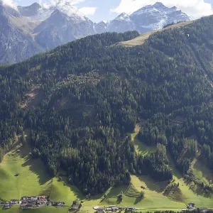 Alm with forest and mountains, Neustift im Stubai Valley Alm with forest and mountains, Neustift im Stubai Valley
