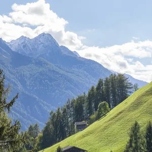 Alm with hay barn, forest and mountains Alm with hay barn, forest and mountains