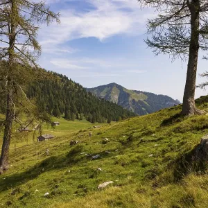 Alpbichlalm, Osterhorn group, Salzkammergut Alpbichlalm, Osterhorn group, Salzkammergut