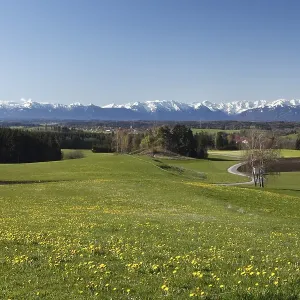 Alpine foothills with Diemendorf
