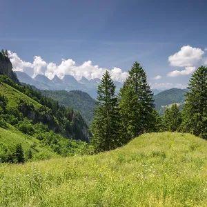 Alpine landscape in Alpstein with view of Churfirsten