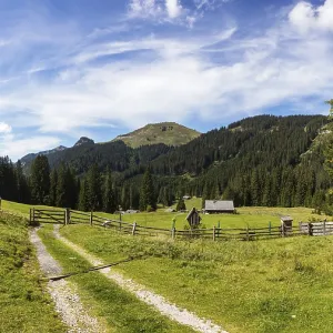 Alpine landscape on the Ausserlienbachalm with Labenberg